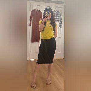 Babaton pencil skirt sexy and stylish